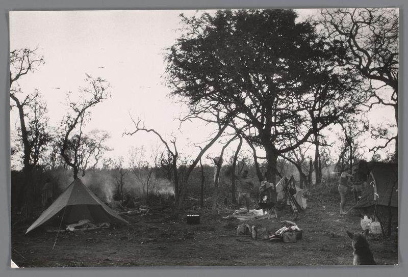 The image depicts a tented campsite in an outdoor setting, likely during the early stages of 20th-century photography given its black and white tone. Several individuals are engaged in various activities around their camping equipment scattered on the ground; items such as bags, containers possibly holding food or supplies, and what appears to be cooking pots suggest a temporary living arrangement typical for travelers or explorers. The trees surrounding the site provide ample shade but also indicate an arid environment with sparse vegetation.

In the foreground is a dog-like animal, which adds a sense of companionship to the scene. Notably absent in this snapshot are modern amenities like electronic devices or contemporary camping gear, reinforcing the historical context and simplicity of life during that era's expeditions or travels through such landscapes.