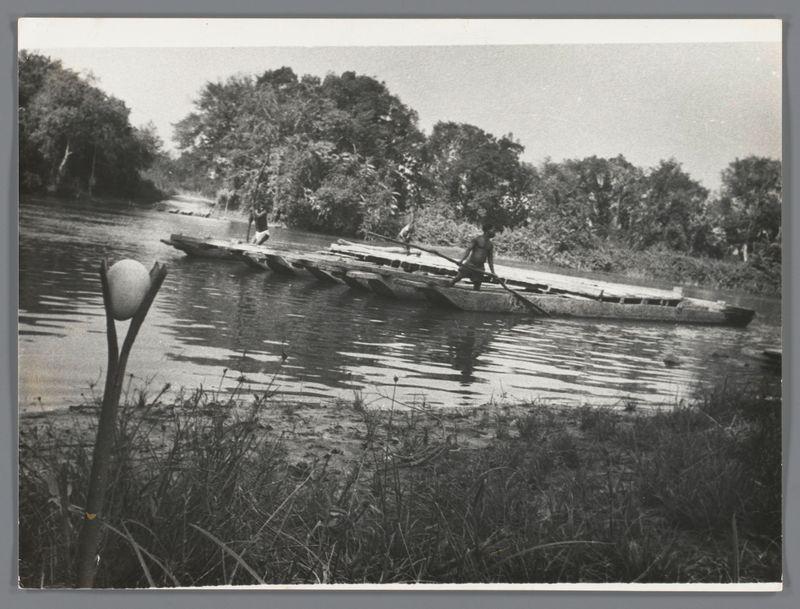 The image depicts a black and white photograph of an outdoor scene, likely from the mid-20th century based on its style. It shows two individuals in what appears to be a narrow boat or canoe made of large wooden planks, moving through calm waters surrounded by vegetation. The environment suggests a tropical setting with abundant trees and bushes lining the riverbank.

In the foreground, there is an elongated object that resembles part of a plant stem with leaves extending from it, possibly a calla lily or water lily stamens on a flower stalk, placed prominently in the lower left corner. The background features dense foliage under bright daylight conditions.

The photograph captures the essence of rural life and natural surroundings during a time when such scenes were common for documenting cultural practices and daily activities across various regions globally.