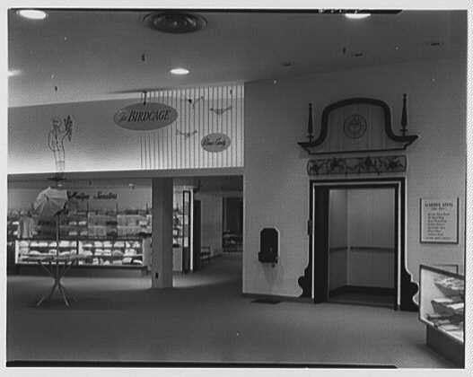 The image displays an interior view of a department store, likely captured in the 1950s. The architecture features modern elements such as recessed lighting and sleek signage on metal rods. Dominating the foreground is a large display case with "Birdcage" written above it, which may be advertising Bird Cage brand products or related items. Adjacent to this exhibit area stands an elevator entrance marked by decorative wall details including what appears to be a clock within a circular frame at its top and two flanking candles on pedestals below.

The scene is devoid of people, emphasizing the store's emptiness either during off-hours or due to low customer traffic at that moment. The absence of modern technology like digital displays suggests an older era for this establishment.