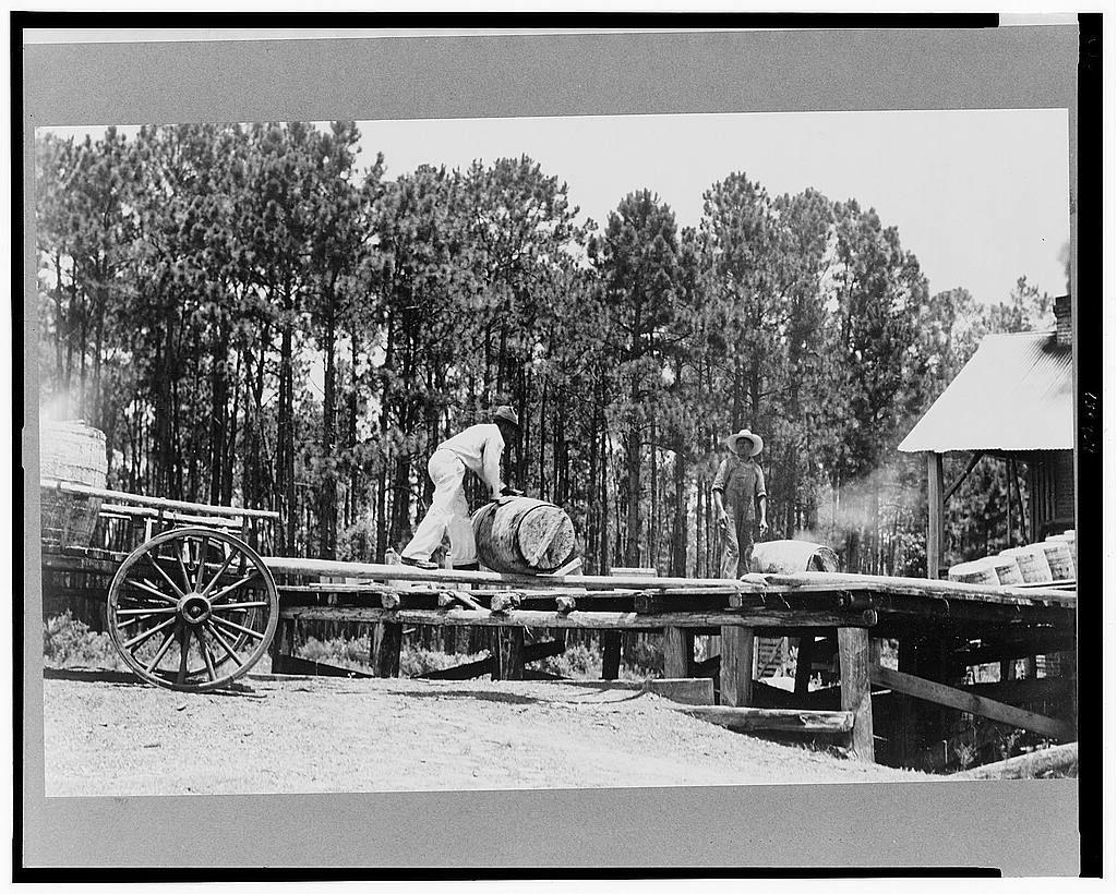 The photograph depicts a black and white scene where two individuals are working with barrels on what appears to be a wooden platform or bridge. One person, wearing light-colored clothing and dark boots, is lifting a barrel onto the structure using their hands while balancing it carefully on one end of its lid. The other individual stands nearby observing the process. In the background, there's an abundance of tall pine trees that suggest this could be located in a forested or rural area.

The setting includes various elements such as wooden railings for safety around the elevated platform and large wagon wheels lying beside it, indicating some sort of agricultural activity might be taking place here. There are also visible planks of wood on what looks like a makeshift ramp leading up to the bridge-like structure where work is being done with barrels.

In terms of context or historical background, this image seems reminiscent of early 20th-century rural labor practices in America, particularly related to logging activities given the presence of abundant pine trees. The photograph appears aged and monochromatic due to its black-and-white nature which could hint at it capturing a moment from history when such scenes were common.

The specific mention "Turpentine still" along with "Georgia," suggests this activity might be linked to turpentine production, an essential compon [...]