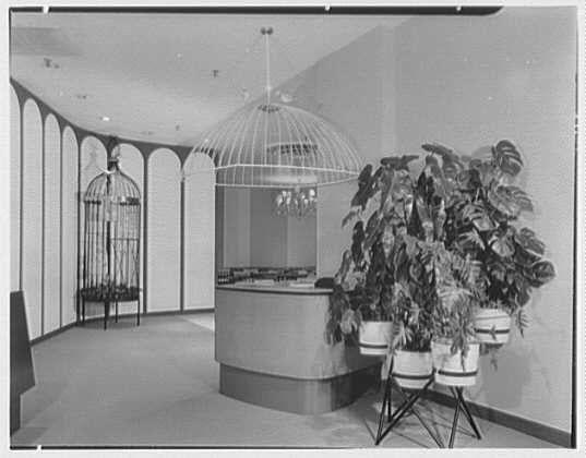 The image is a black and white photograph depicting an indoor scene with modernist design elements. In the center of the frame, there's a birdcage-like structure that serves as a decorative entrance or partition within a room. The cage appears to be made from metal rods forming a geometric pattern, open in such a way that allows visibility through it.

Behind this central feature is what looks like an information desk with shelves and possibly some display items on top of the shelving unit. Flanking both sides of the scene are tall, narrow birdcages or arched structures providing symmetry to the composition.

On one side stands a lush arrangement of potted plants in various sizes, placed atop low tables which look somewhat like vintage-style stools with metal bases and wooden seats. The greenery adds a touch of natural vibrancy against the otherwise monochromatic setting.

The overall atmosphere suggests an old-fashioned department store or a similar retail establishment, possibly from mid-20th century judging by the design choices and black-and-white format of the photograph.