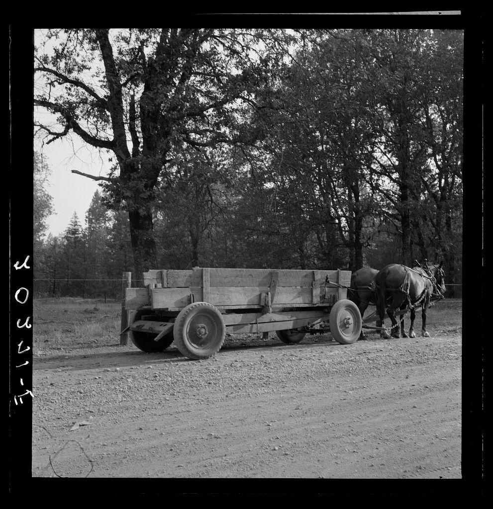 In this black and white photograph from Dorothea Lange, a horse-drawn wagon is shown in an outdoor rural setting. The wagon appears to be constructed with wooden planks and has large wheels that are typical of farm equipment used for transportation or carrying goods. Two horses, harnessed together and wearing yokes around their necks, stand attached to the rear end of the wagon, suggesting they were recently active pulling it across a dirt path.

The background features dense tree coverage with tall trees extending into the sky, indicating that this scene is likely set in a forested or rural area. The ground appears dry but uneven and unpaved, consistent with farm terrain where modern asphalt roads are not common.

Lange's photograph captures a moment of agricultural life from her time, highlighting the reliance on animal power for labor-intensive tasks such as farming. This image reflects Lange's focus on documenting everyday life during that period in American history through her work within projects like Farm Security Administration (FSA).

The inclusion of text and additional information about this specific wagon suggests it is part of a historical record or documentation project, possibly related to agricultural practices and rural development.

This photograph serves as an important piece of visual history, providing insight into the past reliance on animal power fo [...]