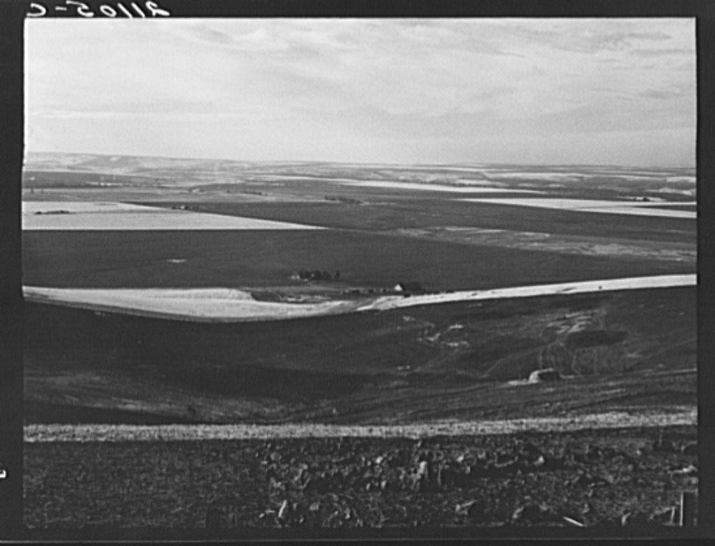 The image is a black and white photograph depicting an expansive rural landscape with undulating fields. The foreground shows a dense cluster of crops, likely wheat given the context provided by the alt text. These fields are arranged in a patterned manner suggesting agricultural cultivation practices.

Beyond this cultivated area lies a large expanse divided into two distinct sections: on the left side is a wide river running parallel to one field edge, its waters calm and reflective, bordered intermittently with what appears as floodplains or land covered with moisture. On the right, there are broad fields in varying shades of brown and beige, indicating different stages of cultivation or possibly fallow land.

The horizon stretches far into the distance where a faint outline suggests distant trees or shrubbery against an overcast sky. The absence of any prominent structures like buildings further emphasizes the rural setting.

Overlaid on top of the photograph is text that appears to be cataloging information, likely used for archival purposes. It reads "3-2015," which may indicate a date reference within its context or possibly serve as an identifier in a collection.

The image captures a moment frozen in time, showcasing rural life and agriculture without any visible human figures, thus emphasizing nature's vastness over the human presence. The overall mood of the ph [...]