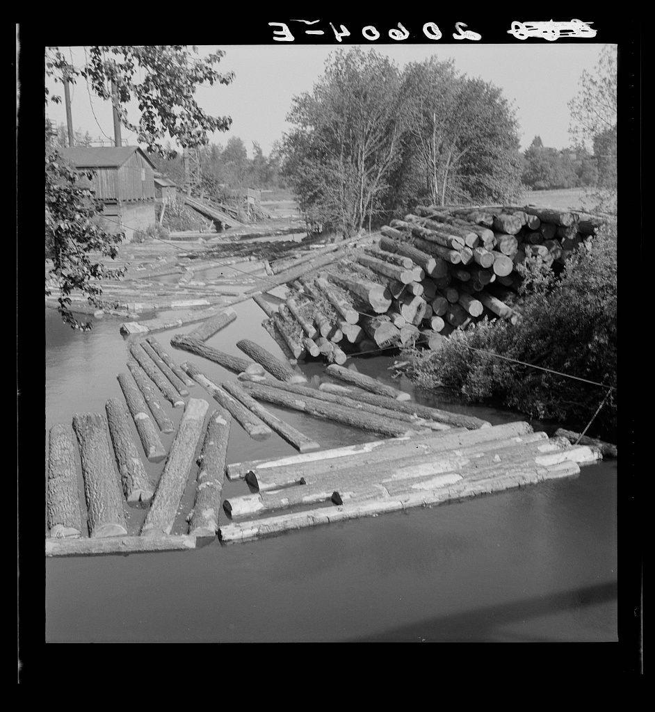 The image displays a black and white photograph of a lumbering scene. It depicts numerous logs, cut into large segments, resting on makeshift rafts floating in water. The rafts are constructed from several smaller pieces of wood laid side by side to form planks that can hold the massive logs above the surface.

In the background, there's visible equipment typical for a sawmill: an old-fashioned structure with machinery and possibly a millpond or spillway leading into it. There is greenery around which suggests this setting might be in a rural area near water bodies. The sky appears overcast providing diffused lighting to enhance texture details.

The photograph captures the essence of early 20th-century lumbering practices, showcasing how logs were transported downstream for processing at mills such as those found on rivers like Marys River where Dorothea Lange photographed similar scenes in Oregon.