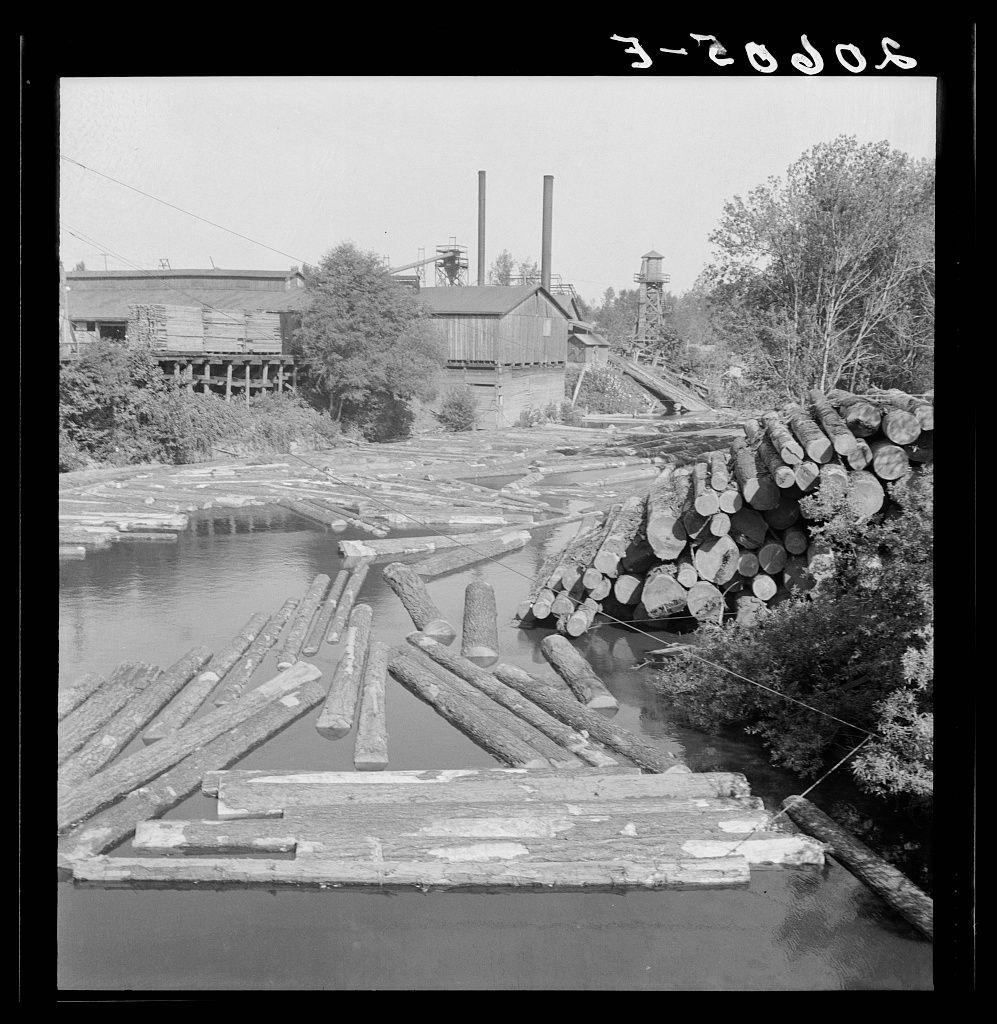 The image shows a black and white photograph of an old sawmill located near the Marys River in Corvallis, Oregon. The scene captures multiple wooden structures including mills with towering smokestacks that are indicative of industrial activity during its time period. In addition to these buildings there is abundant greenery shown as trees surrounding this area. Across a body of water we can see logs being floated downstream on rafts constructed from wood beams and logs, suggesting the transportation method used for moving timber in those days. To the right side of the image a large pile of cut down tree trunks are stacked up against each other showing off a variety of different sizes, some with branches still attached indicating they were freshly harvested at time when this photo was taken.
The date "3-20 1965" is visible in an upper left corner likely representing the exact day and year that Dorothea Lange photographed this scene. This image serves as historical documentation of logging activities from decades past, offering a glimpse into how timber used to be processed before modern technology took over such processes.
This photograph captures not only physical attributes like structures built for sawmilling operations but also reflects social history related to the labor and resources employed in these industries during that era.