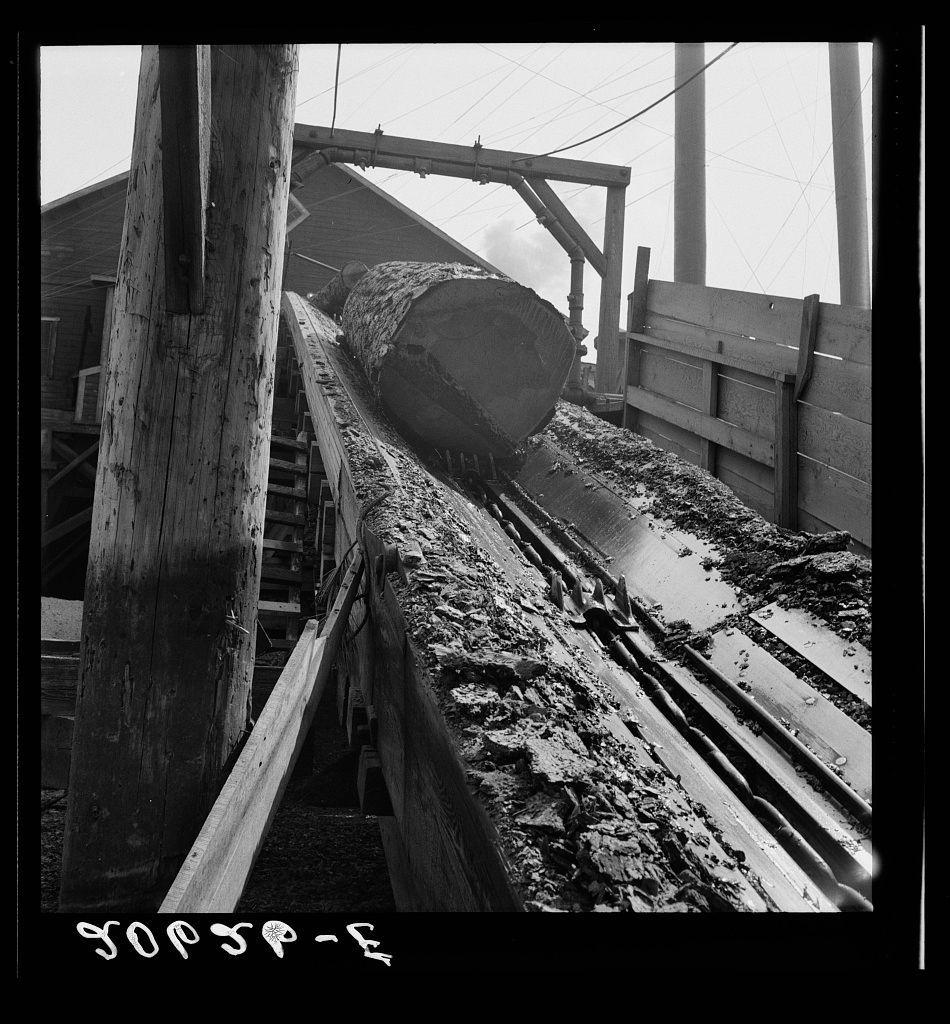 The image depicts a log chute at the Pelican Bay Lumber mill. A large, darkened wooden beam is captured mid-motion as it descends along a steel track or conveyor belt into what appears to be an industrial facility. The machinery shows signs of heavy use with visible wear and debris on its surface. Wooden structures flank either side of the chute, possibly serving as support beams or barriers for safety purposes. In the background, there's a partially obscured building that could belong to the mill complex itself. Notably, the image is in black and white, emphasizing texture over color details. The photograph has historical connotations, reflecting an industrial setting from perhaps mid-20th century America given its grayscale composition. A watermark or text "9OPSP - F" appears at the bottom of this picture which could be indicative of ownership or a date code for cataloging purposes.