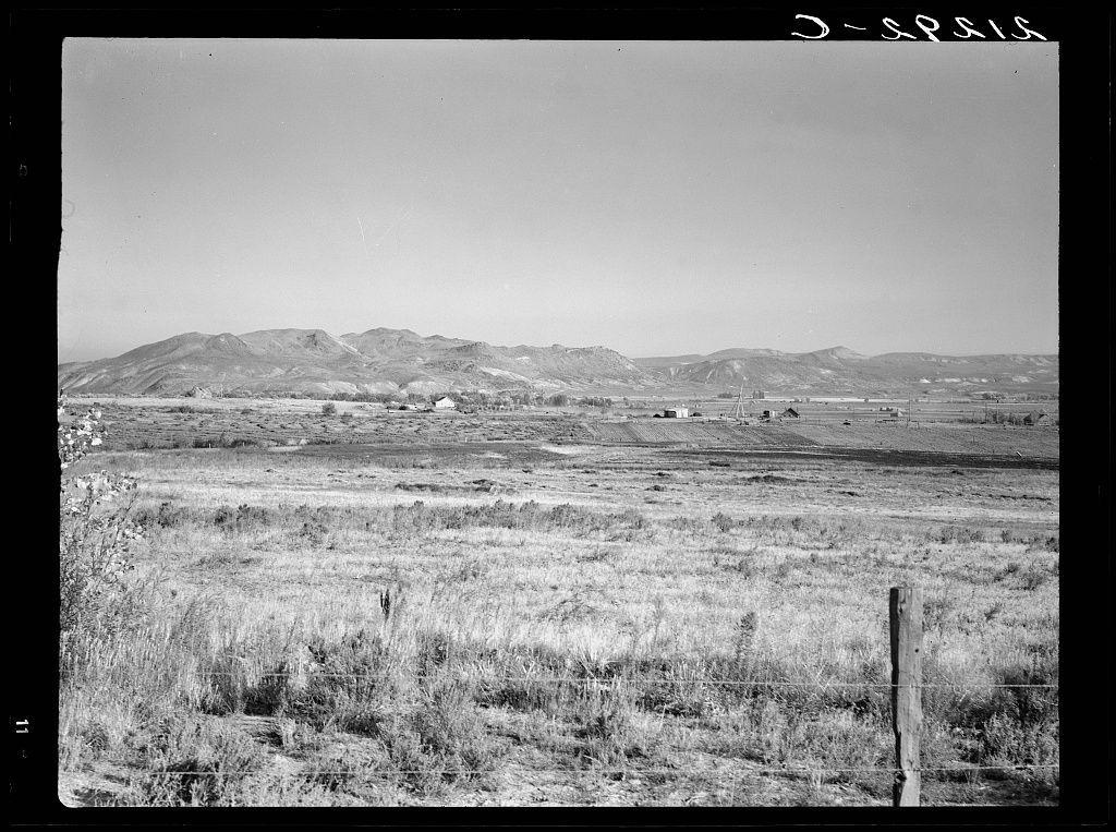 The image is a black and white photograph depicting an open rural landscape. In the foreground, there's dry grassland with sporadic patches of bare earth or sparse vegetation. A wooden fence post stands prominently in the lower right corner, suggesting demarcation for property boundaries.

Beyond this field, gently rolling hills create a backdrop against which several structures are visible at different distances: what appears to be houses and possibly barns, indicative of a farmstead. The mid-ground is dominated by these man-made elements amid an expanse of natural terrain devoid of trees or significant vegetation growth, hinting at arid conditions.

The photograph's upper portion showcases more hills with slight variations in contour and elevation but no prominent features like cliffs or rock formations. Above all this lies a clear sky without any visible clouds, suggesting fair weather conditions during the time the photo was taken.

There are handwritten annotations on the top right of the image indicating "Dazey farm" which presumably names both the location and subject matter being photographed - Dazey Farm situated in Homedale district within Malheur County, Oregon. The code 'J-5431' might be an internal cataloging or reference number for this specific photograph.

There's a sense of solitude conveyed by the emptiness around with no visible people, suggesting isola [...]