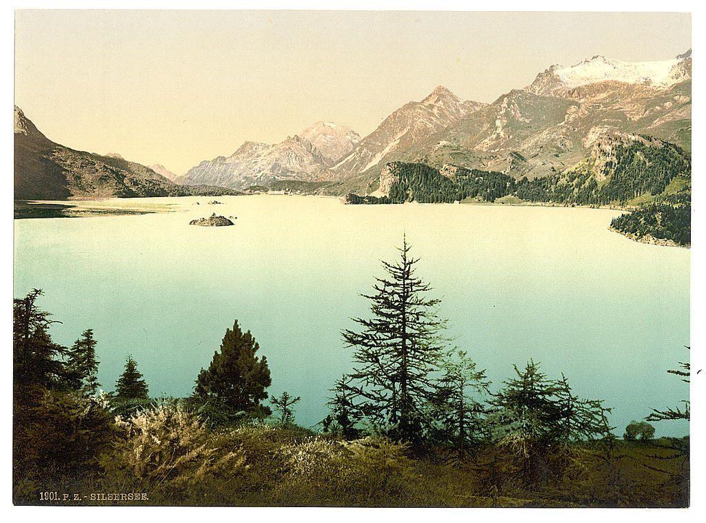 The image depicts a serene landscape dominated by the expansive Lake Sils, nestled within the Grisons region of Switzerland. In the foreground is an idyllic view characterized by rolling hills adorned with patches of grass and clusters of evergreen trees such as spruces and pines. These elements frame the lake's surface, which exudes a calming turquoise hue that suggests clear water reflecting the sky or possibly mineral content within the body of water.

The middle ground presents gentle slopes leading up to the lake’s edge where more densely wooded areas are visible. The trees here appear denser with darker green foliage, indicating either a different species mix compared to those in the foreground or seasonal changes affecting vegetation density.

The background is dominated by majestic mountain peaks, their snow-capped summits punctuating the skyline and conveying an aura of untouched wilderness. These mountains serve as a striking contrast against the sky's muted yellowish tinge at the top edge of the image; this may indicate either early morning light or atmospheric conditions altering natural lighting.

A small boat is discernible on the lake, suggesting human activity within this tranquil setting. The absence of contemporary structures implies that this photograph captures an era when such landscapes remained largely undisturbed by modern development.