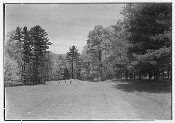 The image is a black and white photograph depicting a rural scene with tall trees lining the edges of what appears to be an open field or park. The foreground shows a flat, lightly textured area where a few individuals can be seen standing at some distance apart from each other, suggesting it's not crowded.

In the middle ground, there are more people who appear smaller due to perspective; they seem engaged in leisurely activities on grassy patches within this open space. The background features towering trees that dominate the skyline and cast shadows over parts of the field below them.

The sky is mostly clear with minimal cloud cover visible above the treetops, indicating fair weather conditions at the time when the photo was taken. This image captures a serene outdoor environment from an earlier period based on its black-and-white composition, which could be indicative of early to mid-20th-century photography styles.

Notable features include the natural setting with lush trees and open space suitable for recreational use, as well as historical context inferred by the quality of photograph. The individuals' attire is not clearly discernible due to distance but gives an impression of casual outdoor wear appropriate for leisure activities in a park-like area during that era.