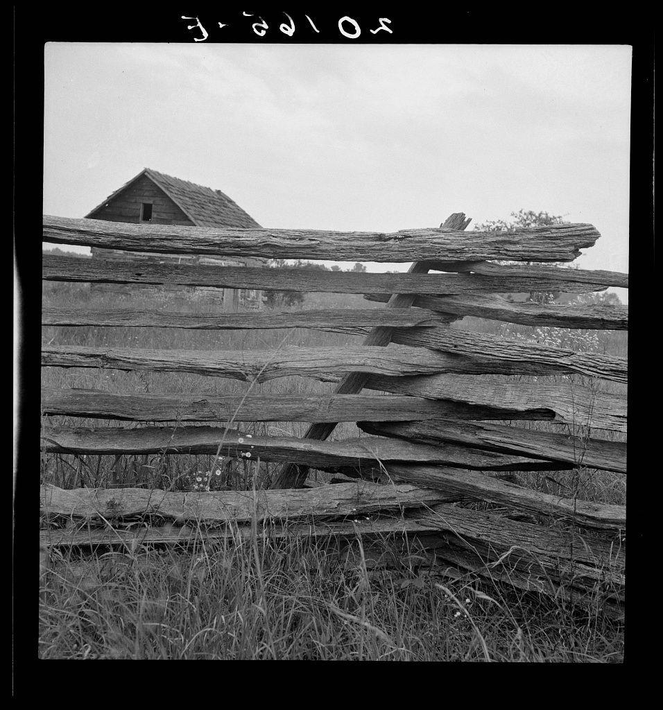 The image displays a black and white photograph of an old wooden fence in disrepair, with several layers or tiers stacked atop one another. The weathered structure appears to be constructed from rough-hewn logs that show significant signs of aging and wear.

In the background, there is a rustic barn-like building visible behind the fallen sections of the fence. This suggests a rural setting, possibly on farmland. Overcast skies above contribute to the overall somber tone of the photograph.

The photo includes handwritten annotations indicating "3-2010" in the upper corners and some numbers at the bottom right corner which are not clearly legible due to resolution constraints or focus issues within those parts of the image.

This particular structure is mentioned as a part of Dorothea Lange's work, known for her documentary photography during the early 20th century. The specific reference provided in this context suggests that Lange may have captured images related to rural life and agricultural practices in North Carolina, particularly focusing on structures like fences which were common elements within those settings.

Dorothea Lange was a prominent American photographer renowned for documenting social issues such as poverty, inequality, and the impact of industry. Her work often highlighted marginalized communities and their experiences during challenging times in history.
