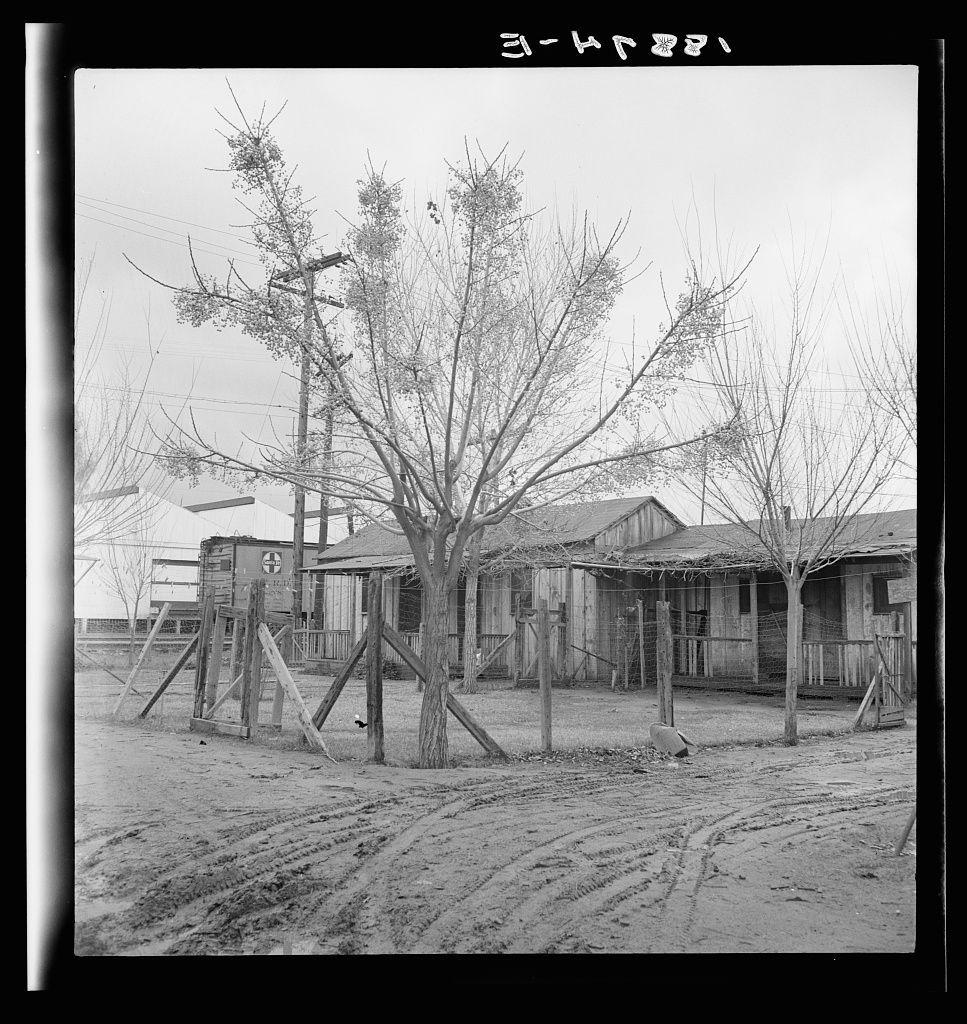 The image is a black and white photograph depicting a rural scene with a focus on an old, rustic house surrounded by barren trees. The structure has multiple sections, including what appears to be a living area connected by outdoor walkways or corridors to outbuildings like sheds or storage facilities. The property seems deserted at the time of capture, as no people are visible in the frame.

There is noticeable evidence of wear and neglect on both the house's exterior walls and its infrastructure; peeling paint, exposed wood beams, and dirt patches suggest a lack of maintenance. A distinctive feature includes an elevated wooden platform with what looks like a small shelter or lookout at the top, connected by a rudimentary ladder to one of the nearby trees.

The ground is uneven, with tire tracks indicating recent vehicle activity. Various objects scattered around hint at human occupation despite the dilapidated condition: pieces of wood, possibly remnants from repairs or construction efforts, lie strewn on the dirt grounds.

Power lines are noticeable in the background against a cloudy sky, providing some modernity to an otherwise old-fashioned setting. The absence of vegetation other than leafless trees suggests it could be during colder months when most plants have shed their leaves. Overall, this image evokes a sense of abandonment and hardship associated with rural l [...]