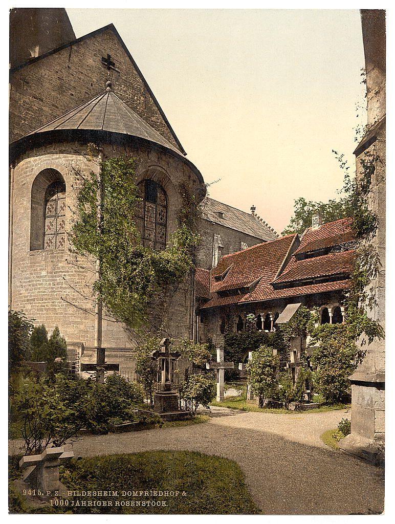 The image depicts a historical scene featuring an old church with Romanesque architectural elements, including rounded arch windows and a stone construction. The church is surrounded by various tombstones within its cemetery grounds, suggesting the site has been in use for many centuries. A prominent feature of this setting includes a large rose tree labeled as "1000 Jahreiger Rosenstock," indicating it's at least 1,000 years old and possibly holds historical significance related to Hildesheim Cathedral. The overall atmosphere is serene yet carries the weight of history, evoking a sense of reverence for past times and traditions tied to this church in Germany between approximately 1890-1900.