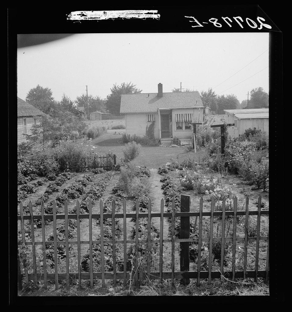 The image depicts a black and white photograph of an old, modest house surrounded by gardens. The garden is well-tended with rows of plants or crops and flowering bushes interspersed throughout. A wooden fence borders the front yard in the foreground. In the background stands a single-story dwelling, possibly indicative of rural housing found in certain areas during historical periods such as the 20th century. Trees can be seen lining the perimeter beyond the house's immediate vicinity, suggesting some level of natural surroundings or community green spaces. The photograph seems to capture a glimpse into everyday life within this home and its garden setting.