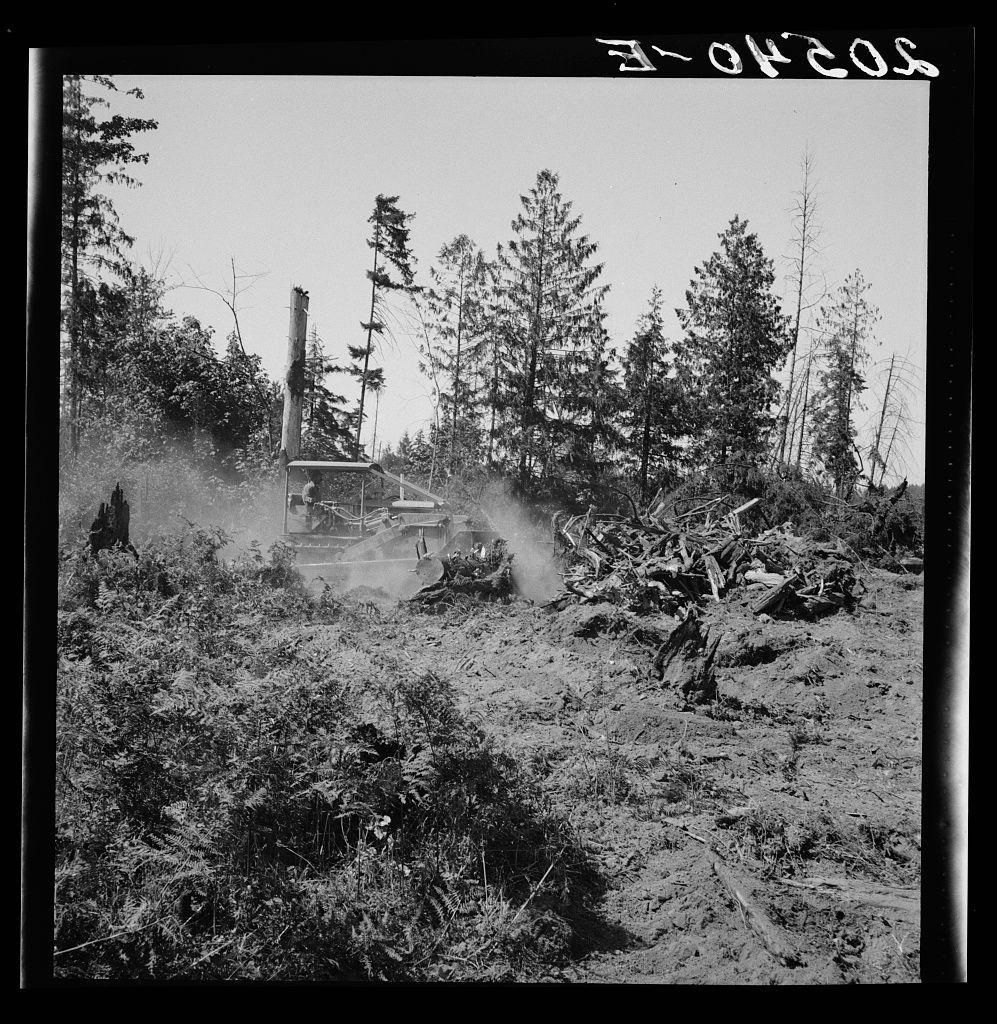 A black and white photo of a logging operation in progress. In the foreground, we see scattered debris from cut trees—branches and trunks are strewn across the ground—a testament to the activity taking place above.

Dominating the middle-ground is heavy machinery: an orange tractor with large treads for navigating rough terrain. This vehicle has been equipped specifically for forestry work; its front end features what appears to be a grapple or claw-like attachment, likely used to grasp and move timber.

Behind this machine stands tall evergreen trees that tower over it, indicating the scale of logging operations here: these are sizable trunks being processed today.

The background is more open with fewer visible logs. It's easy to identify where the cut has taken place; a large pile of chopped wood sits on one side, suggesting that some parts of this operation have been completed and moved onto another stage—presumably burning as indicated by dust clouds rising from the area near piles.

On the top right corner is handwritten text in white ink reading "FOKOS".
