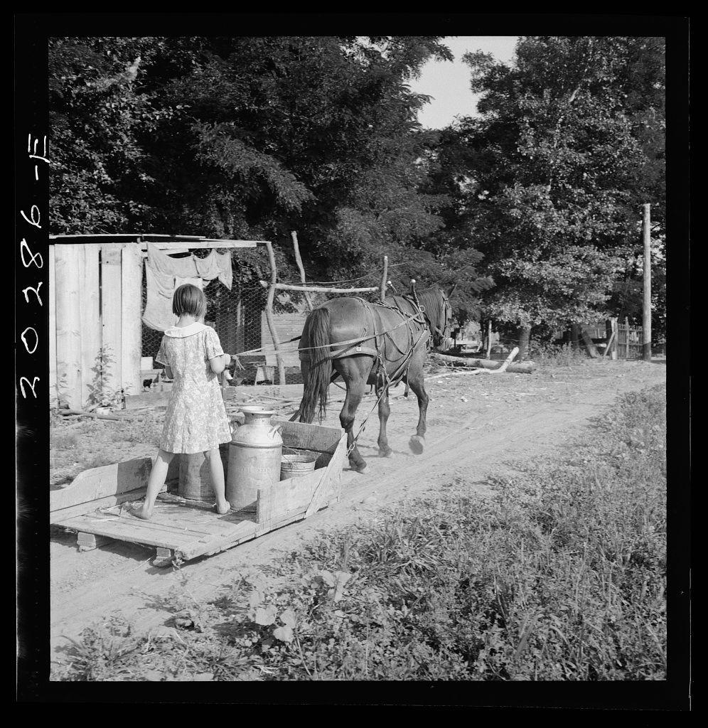 The image is a black and white photograph depicting a rural scene. In the foreground, there's a young girl standing on wooden planks near a metal canister and some buckets. She appears to be pouring or preparing something from the cans into one of the buckets. A horse with harnesses stands beside her, attached to what seems like a cart or wagon by its bridles and straps.

In the background, there are various elements indicative of rural life: clothes hanging on lines suggesting laundry drying; a building structure that looks makeshift possibly for storage or housing animals; dense vegetation including trees and shrubs. The environment appears unkempt with overgrown grass in front of a fenced area where crops might be grown.

The photograph is marked "Dorothea Lange," which suggests it was taken by the well-known American photographer Dorothea Lange, known for her work during the Great Depression documenting various social issues including rural poverty and farm labor. The date written on the photo indicates that this picture was captured in August 1946.

This image seems to represent agricultural life with a focus on manual tasks like milking or preparing animal products using traditional methods. It reflects historical aspects of American farming culture, showcasing hard work amidst modest living conditions during mid-20th century rural America.