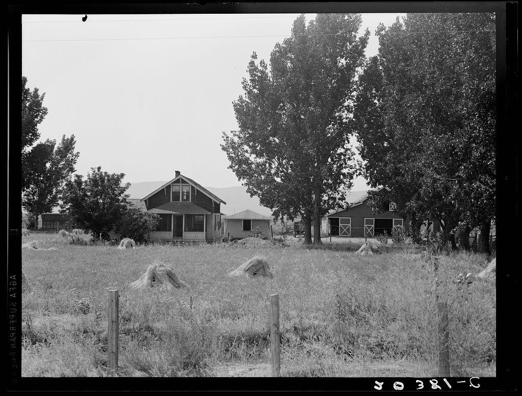 A black and white photograph depicting a rural landscape with agricultural structures. In the foreground, several haystacks are scattered across an open field bordered by wooden poles or posts sticking out of the ground. The midground shows two prominent buildings: one appears to be a house with visible windows, while the other looks like a barn-like structure with double doors and shuttered windows. Trees flank both sides of these structures, adding a sense of enclosure to the scene. A cloudy sky looms above, suggesting an overcast day or possibly early morning/evening light conditions. The setting is indicative of agricultural activity, potentially part of the Farm Security Administration's documentation on tenant farm life in Washington State during that period.