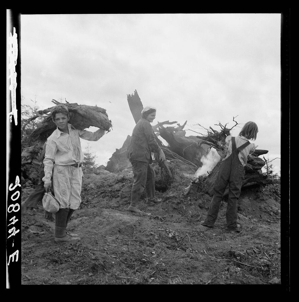 The image depicts a black and white scene of three individuals engaged in what appears to be outdoor labor. The person on the left is carrying large tree branches over their shoulder, wearing light-colored clothing with rolled-up sleeves and boots. They also hold a bag in one hand.

In the center, another individual stands near a pile of felled trees or stumps, dressed in dark pants, brown shoes, and a long-sleeved shirt that has been rolled up to reveal lighter colored undergarments at the wrists and waistband. This person is engaged with some debris on the ground.

The third figure, wearing overalls and boots, seems to be handling more of the tree branches or stumps. Their hair appears tousled in a windblown manner.

They are all standing amidst scattered vegetation and soil, suggesting an outdoor work environment. The sky above them looks cloudy, contributing to the overall somber tone of the image.

The negative was made during rainy weather as indicated by "Negative made in rain," which adds a certain texture or graininess visible within the photograph's composition.

Further information about this photo can be found through reference number 36 on the given URL.