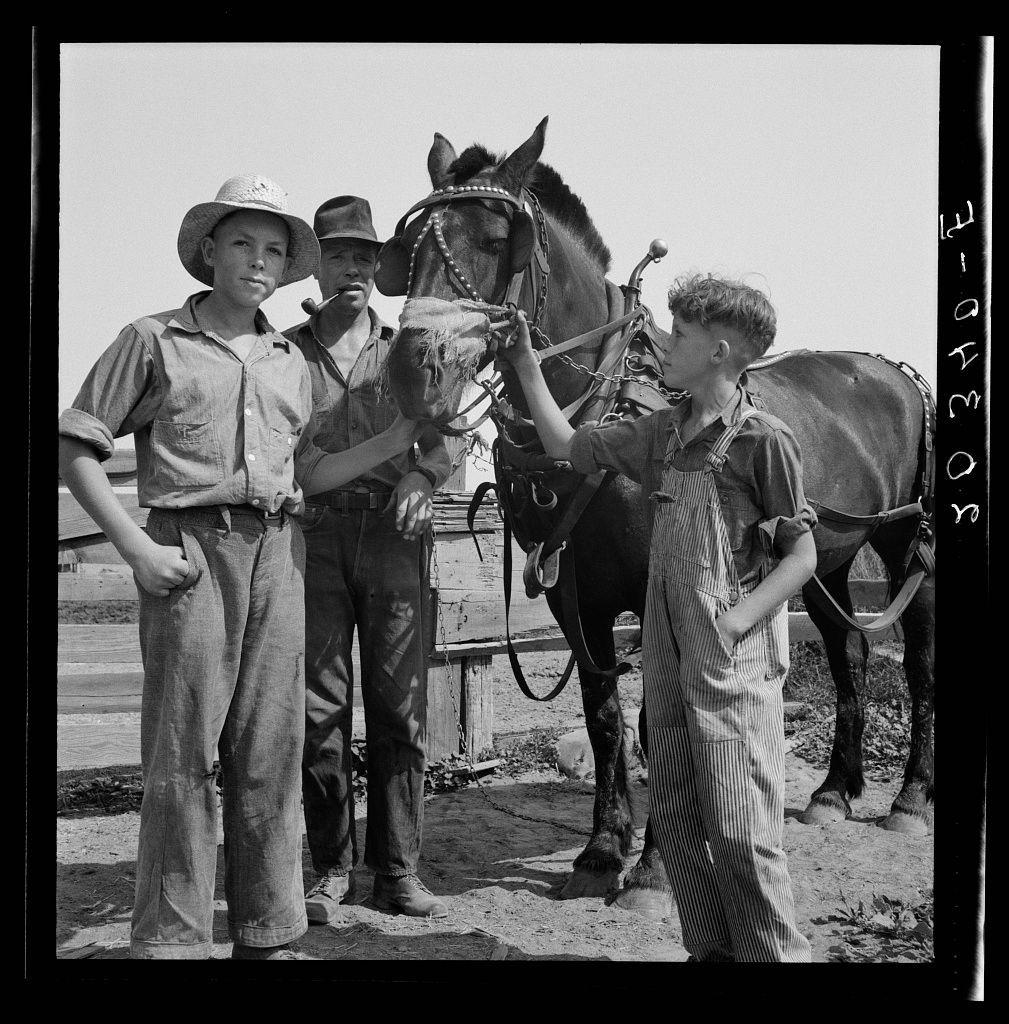 The image is a black and white photograph depicting four individuals outdoors. On the left, there's an older man wearing a hat, with his hands in pockets, looking directly at the camera. Next to him stands another individual, also dressed casually but without any accessories or headgear; this person seems slightly younger than the first. In the center of the photo is a young boy wearing overalls and reaching up towards a horse's face, possibly grooming it. To his right, there appears to be yet an older man with curly hair, who is partially obscured by another animal—a mule or donkey—which has straps on its head, suggesting that it might be used for farming work. The setting looks rural, likely part of a farm given the presence of animals and wooden structures in the background.