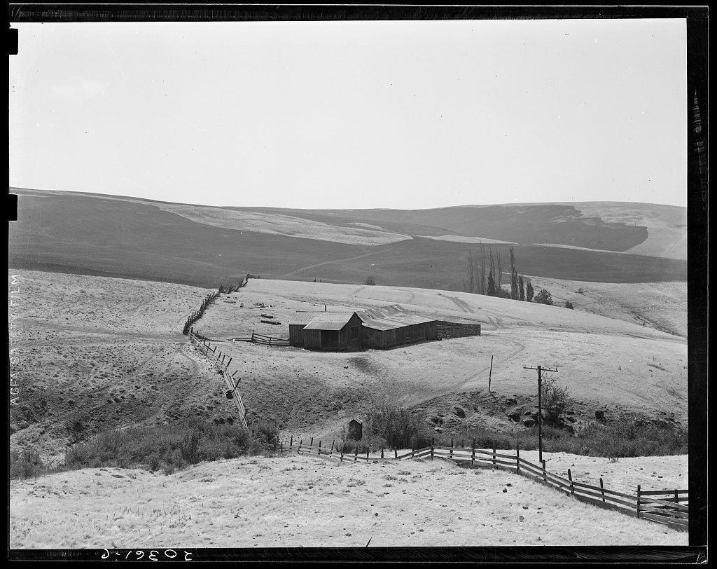 This black and white photograph depicts a rural landscape with a single building, likely a barn or farmhouse, situated in the middle ground. The structure is surrounded by rolling hills that slope down into more undulating terrain. A fence runs alongside part of this area, suggesting it might be property boundaries or areas for farming. Sparse vegetation dots the open land between fields and slopes. Power lines are visible on one side, hinting at some modern infrastructure despite the rural setting. The sky is clear, indicating fair weather conditions. The monochrome palette emphasizes textures such as the smoothness of concrete pathways, rough patches in the landscape, and wooden structures with their natural grain. This photograph appears to capture a tranquil yet stark representation of agricultural life, possibly highlighting themes like land use or historical snapshots from rural America during periods when much farmland was heavily overgrazed due to excessive farming practices or environmental factors.