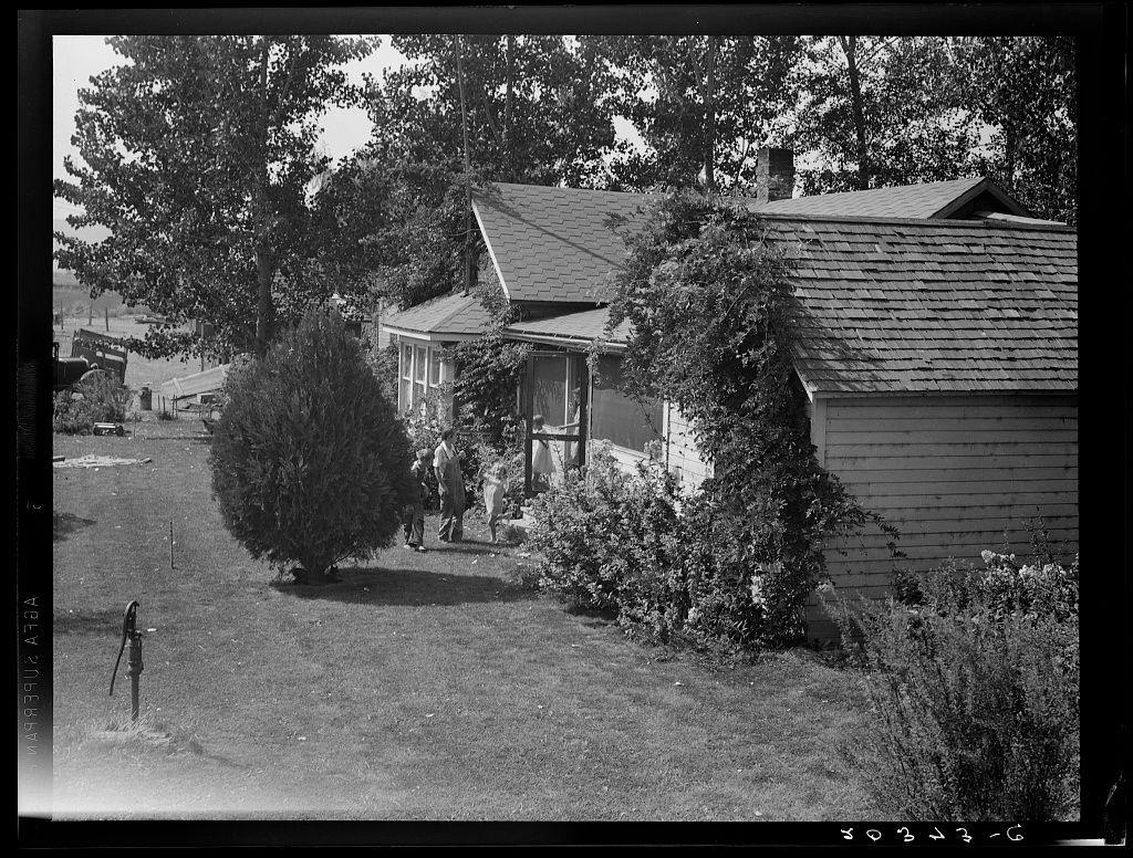 The image depicts a black-and-white photograph of an older house with weathered siding and overgrown vegetation around it. The house has a gabled roof, multiple windows, and appears to be made from wood or another brown-toned material. In the foreground, there's a lawn area leading up to the porch where two people are standing; one is partially obscured by foliage on the right side of the image.

In front of the house stands an old-fashioned metal water pump with chains hanging down beside it. The overall atmosphere suggests this might be from mid-20th century rural America, possibly in Washington state's Yakima Valley near Wapato as referenced in additional information regarding a tenant purchase program (Farm Security Administration) client named Jacob N. Schrock.

The surrounding environment includes trees and shrubs that have not been manicured, indicating a more natural setting rather than an urban landscape. The image appears aged with visible wear on the edges and corners, which adds to its historical feel.