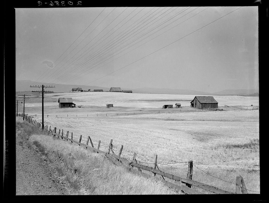 The image depicts a rural landscape, captured in black and white. It appears to be an agricultural area with vast open fields stretching into the distance under a clear sky. There are several small buildings scattered across the horizon, likely farm structures or sheds used for storage or sheltering livestock.

In the foreground, there is a wooden fence running diagonally from left to right, dividing the field and leading towards some of these distant buildings. The terrain appears uneven with patches of dry grass visible through what seems like rows of crops that have been recently harvested or are awaiting cultivation.

The scene has an air of desolation as no people can be seen in this photograph, suggesting it may depict a moment when farming activities were temporarily halted, possibly due to seasonal changes or other factors. The image's composition and subject matter evoke the feeling of rural life during mid-20th century America.