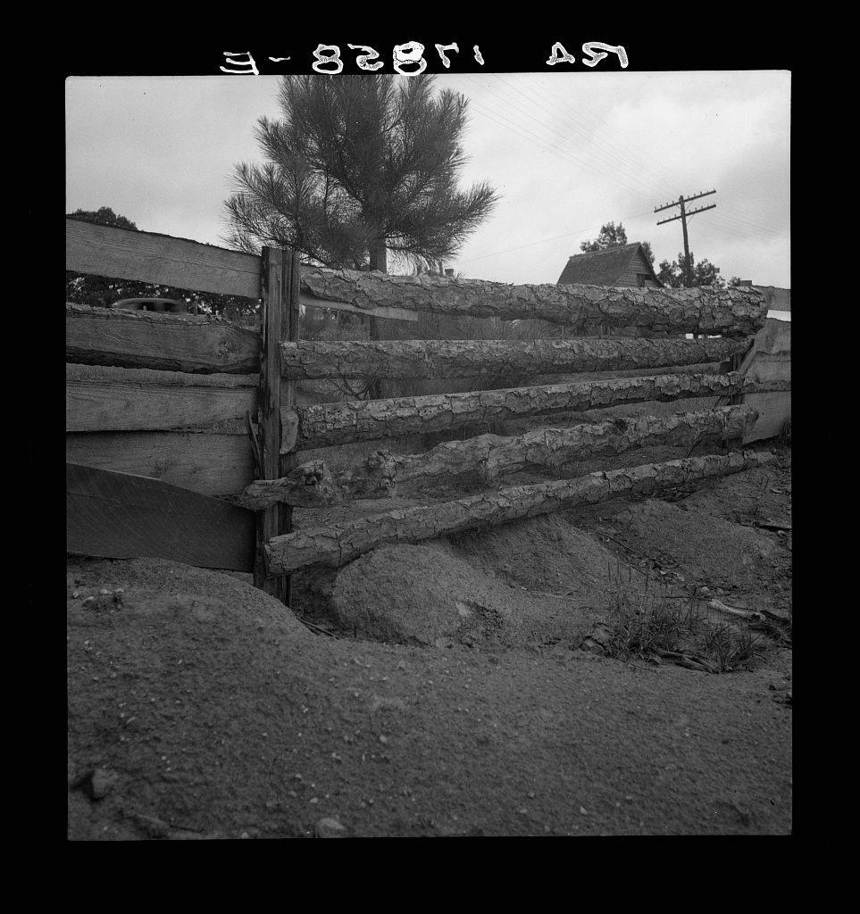 The image depicts a deteriorating wooden fence situated in an open field. The structure appears old and weathered, with logs stacked at varying heights to form the barrier. There is noticeable erosion around the base of the fence posts, suggesting that it has been exposed to natural elements for some time without maintenance.

In the background, there's sparse vegetation including a solitary tree and what seems like a utility pole or tower in the distance, indicating human presence but not being fully developed yet. The ground on which the structure rests is uneven with rocks scattered around, further emphasizing its abandonment state. 

The image has been captured in black and white, adding to the starkness of the scene and highlighting contrasts between shadows and light. Notable features include a handwritten code at the top left corner 'E-8291 AS', which could be an archive or photograph identification number.

This specific photo is part of Eroding field and fence collection from Greene County, Georgia as cited in the description source link provided within the caption.