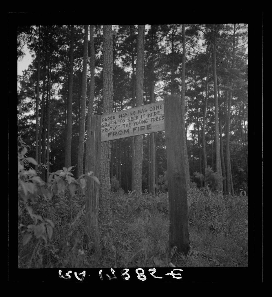 A black and white photograph features a wooden signpost in a wooded area. The post is centrally placed, standing amidst tall trees with sparse undergrowth visible at the bottom of the frame. It's a monochrome image that captures contrasts between light and shadow through its tonal variations.

The sign itself appears aged, suggesting it has been there for some time to weather conditions or human activity. Its message reads: "PAPER MAKING HAS COME SOUTH - TO KEEP IT THERE PROTECT THE YOUNG TREES FROM FIRE." The text is clear but shows signs of wear and possibly fading over the years.

The photograph's composition, with its focus on the signpost, conveys a sense of preservation or protection. It may be associated with efforts to protect natural resources like trees from being damaged by fires during paper-making processes that have expanded into regions previously less developed for such industries.

A notable feature is the text "40 13826" in white at the bottom right, likely representing a cataloging number or code. This suggests it's part of an archive collection with specific identification markers used to organize and retrieve photographs.

The background extends beyond the immediate vicinity around the signpost into a dense forest area. The trees have straight trunks indicating they may be managed for timber production rather than being wild growths untouched by human [...]
