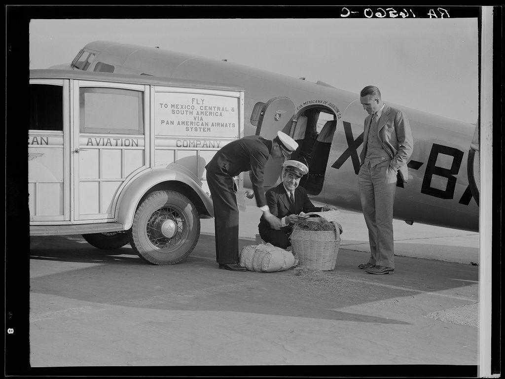 In this black and white photograph titled "plant quarantine inspector examining baggage brought into the United States by plane from Mexico. Glendale, California," a scene unfolds on an airfield during what appears to be mid-20th century. A vintage Pan American Airways System airplane is parked in the background with its tail number partially visible as X-BX73841 and another registration mark "G-OAVH." The aircraft's design suggests it may be from the era of propeller-driven airliners, indicative of early commercial aviation.

Three individuals are prominently featured. One person on the left is crouched down beside a vintage automobile that bears various signs indicating its use for Pan American Airways System related purposes such as "aviation," "equipment," and "company." This individual appears to be engaged in some form of maintenance or inspection, wearing what seems like pilot attire including a cap.

In the center stands another person dressed in business casual clothing. They have their hands clasped behind their back while observing something out of frame with an attentive posture.

On the right is yet another figure who has just disembarked from the airplane and appears to be examining or searching through a basket filled with what seems like hay bales, possibly as part of a quarantine inspection process for agricultural products brought into the United States. [...]