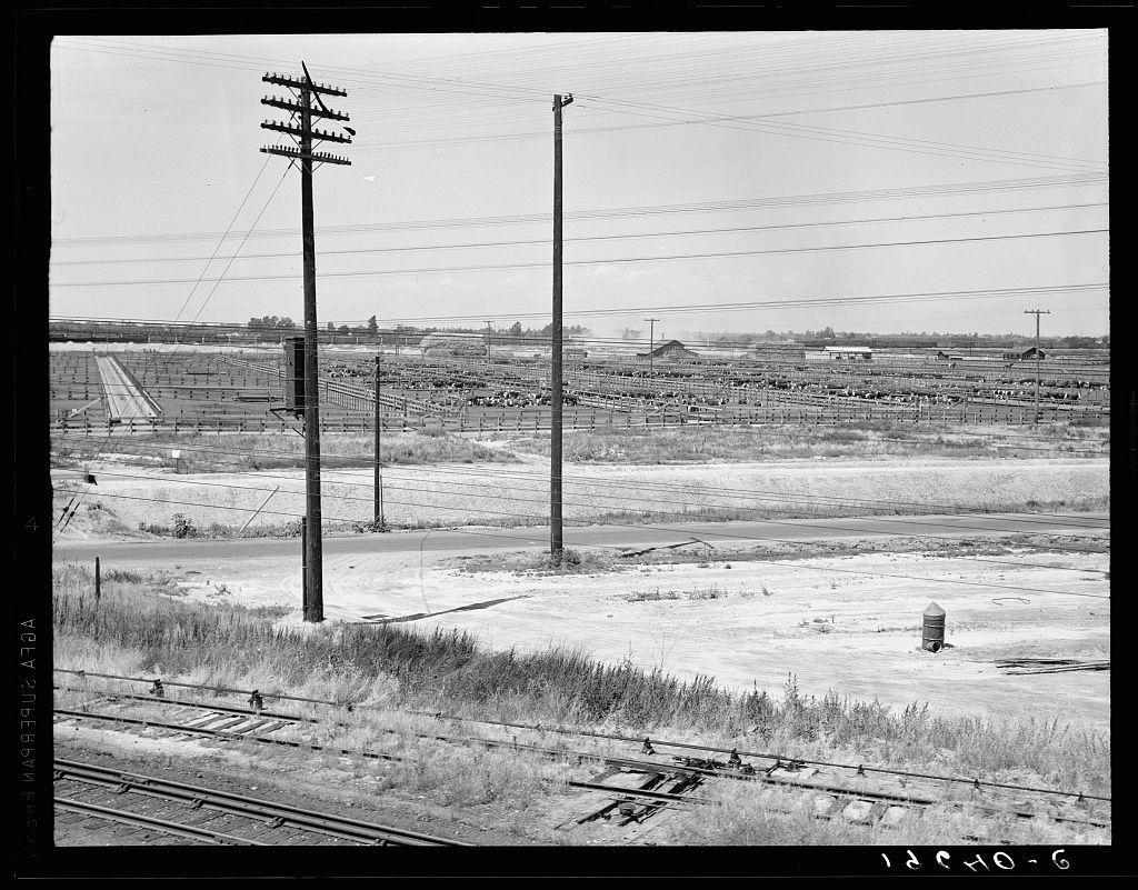 The image is a black and white photograph showing an industrial landscape. In the foreground, there are railroad tracks with parallel power lines extending into the distance. Two tall utility poles stand prominently in the frame, one closer to the left edge of the photo and another on the right side.

In the middle ground, we see what appears to be vast open fields or agricultural land that stretches out towards a horizon lined by more infrastructure elements such as fences, possibly enclosing livestock pens with cattle inside. The farmland is devoid of vegetation except for patches of dry grasses.

On the leftmost part of the photo near one utility pole stands an industrial structure resembling a silo. A small building or shed-like structure can be observed at some distance in the background on what looks like elevated ground, possibly serving as offices or storage facilities related to the operations here.

The sky is overcast with no visible sun or clouds. The overall scene suggests an area of agricultural production and industrial activity, indicative of rural California during a time when such stockyards were operational for livestock processing before transportation via railroad.