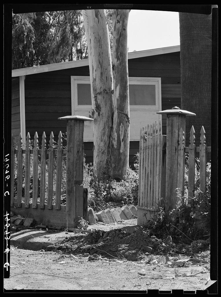 The image depicts a black and white scene featuring an old wooden fence with pointed pickets. This fence stands in front of what appears to be the remnants of a ranch house, indicated by partially visible structures like walls or posts surrounded by overgrown vegetation. A large tree trunk is prominently placed behind one side of the fence. The ground around the area looks untended and covered with debris such as rocks and discarded items. The setting gives off an abandoned or neglected atmosphere, suggesting that this could be a historical site now in disrepair.