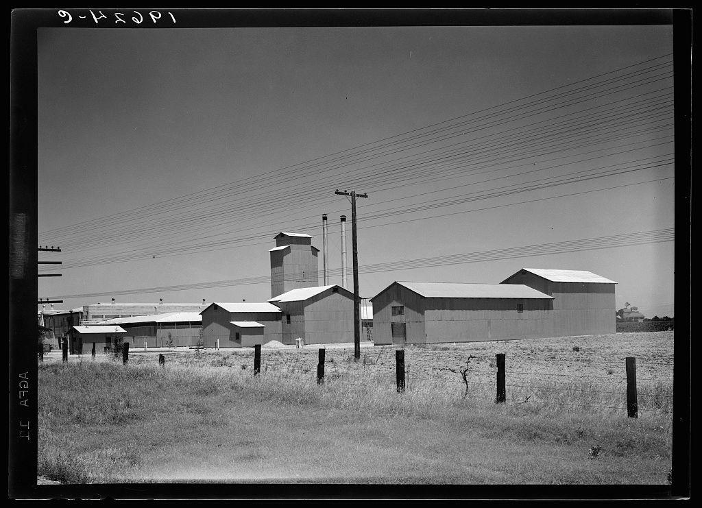The image depicts a rural scene with several large agricultural buildings, including barns and storage silos. The structures have flat roofs and are painted in light colors against the backdrop of an open field under a clear sky. Barbed wire fencing is visible in the foreground, suggesting that this area may be used for farming or livestock purposes. Electrical poles run parallel to each other across the scene, indicating access to power lines.

The photograph appears to be black-and-white and has been annotated with handwritten text on top of it which seems unrelated but might provide context upon closer examination. The handwriting is likely a date stamp or reference code related to the photographer's archive.

This rural setting suggests that this location could serve as an agricultural business, possibly for winemaking given the mention in the caption about belonging to Muscat Cooperative Winery Association. Such associations are often involved with grape growing and production of wine from specific types of grapes like muscat.

The historical context inferred by the black-and-white quality may suggest a mid-20th-century timeframe or an artistic choice meant to evoke that period, as Dorothea Lange is known for her work during that era.