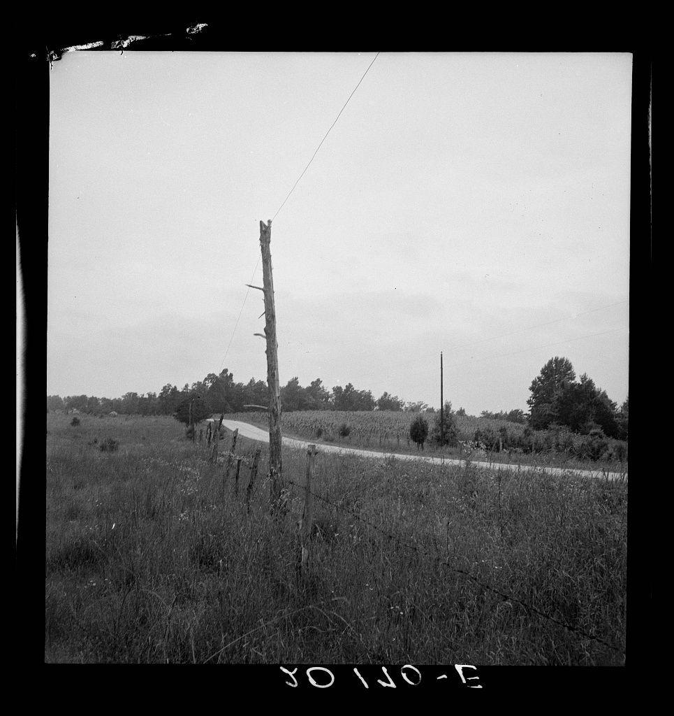 The image is a black and white photograph depicting an open field with tall grasses swaying in the breeze. A telephone pole stands prominently against the sky, extending diagonally across the frame from left to right. In the background, there are trees dotting the horizon under what appears to be overcast skies. The landscape suggests rural or semi-rural surroundings without any visible structures close by. On the bottom of the image is a handwritten inscription that reads "Y01J0-E". This photograph was likely taken along Route 501 in Person County, as referenced through additional information found elsewhere which states it's one mile north of Bethel Hill High School and includes map coordinates (Person 17). The code mentioned might pertain to a specific geographic data or documentation system.