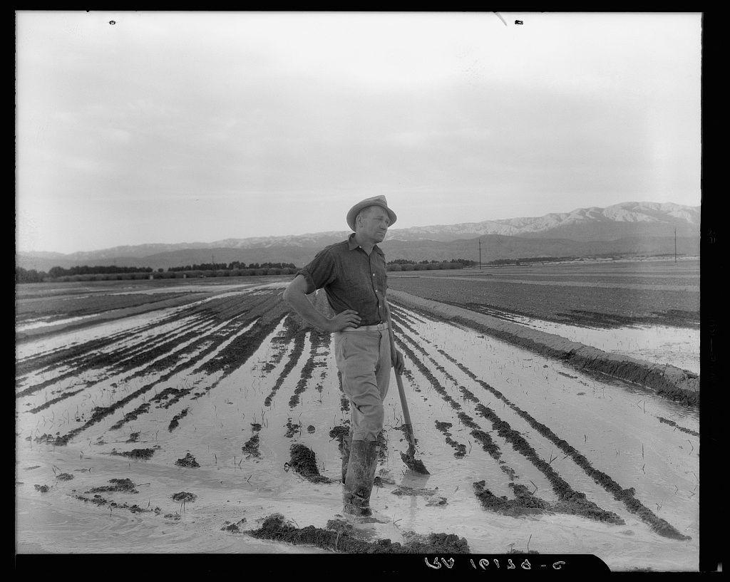 The image is a black and white photograph depicting an individual standing in what appears to be a field undergoing irrigation. The person, who seems to be a farmer or agricultural worker based on their attire which includes a hat for sun protection, boots suitable for muddy conditions, and practical clothing including rolled-up trousers likely due to the waterlogged environment they are working in.

The landscape suggests that it is early stages of crop development as there's only visible soil with rows indicating prepared fieldwork. The fields extend into the distance under an overcast sky, hinting at a rural or semi-rural setting typical for agricultural activities.

In terms of context provided by the caption "Field worker irrigating alfalfa and barley fields," it suggests that this image is part of Dorothea Lange's documentation work during her time with The Farm Security Administration (FSA). Dorothea Lange was known for her powerful images capturing American society, particularly focusing on rural poverty.

The specific location indicated by the caption as Coachella Valley in California and reference to Indio suggests that this field is part of a larger agricultural area. This region is indeed well-known for its agriculture, especially produce which include vegetables and fruits among others.

Additional details such as "eleven cuttings of alfalfa per year" along w [...]