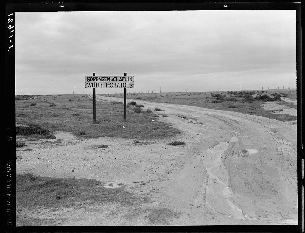 The image depicts a barren, rural landscape with an old-fashioned road sign indicating the direction to Sorensen & Claflin White Potatoes. The scene appears desolate and deserted, emphasizing isolation in what seems like an arid region. There are no people or moving vehicles visible on this dirt path that cuts through sparse vegetation under an overcast sky. In black-and-white photography, it hints at a bygone era of American agriculture. This specific photograph likely relates to Kern County's agricultural history and the development of potato farming along U.S. Route 99 in California during the early 20th century when Dorothea Lange documented rural life for her work with Farm Security Administration (FSA).