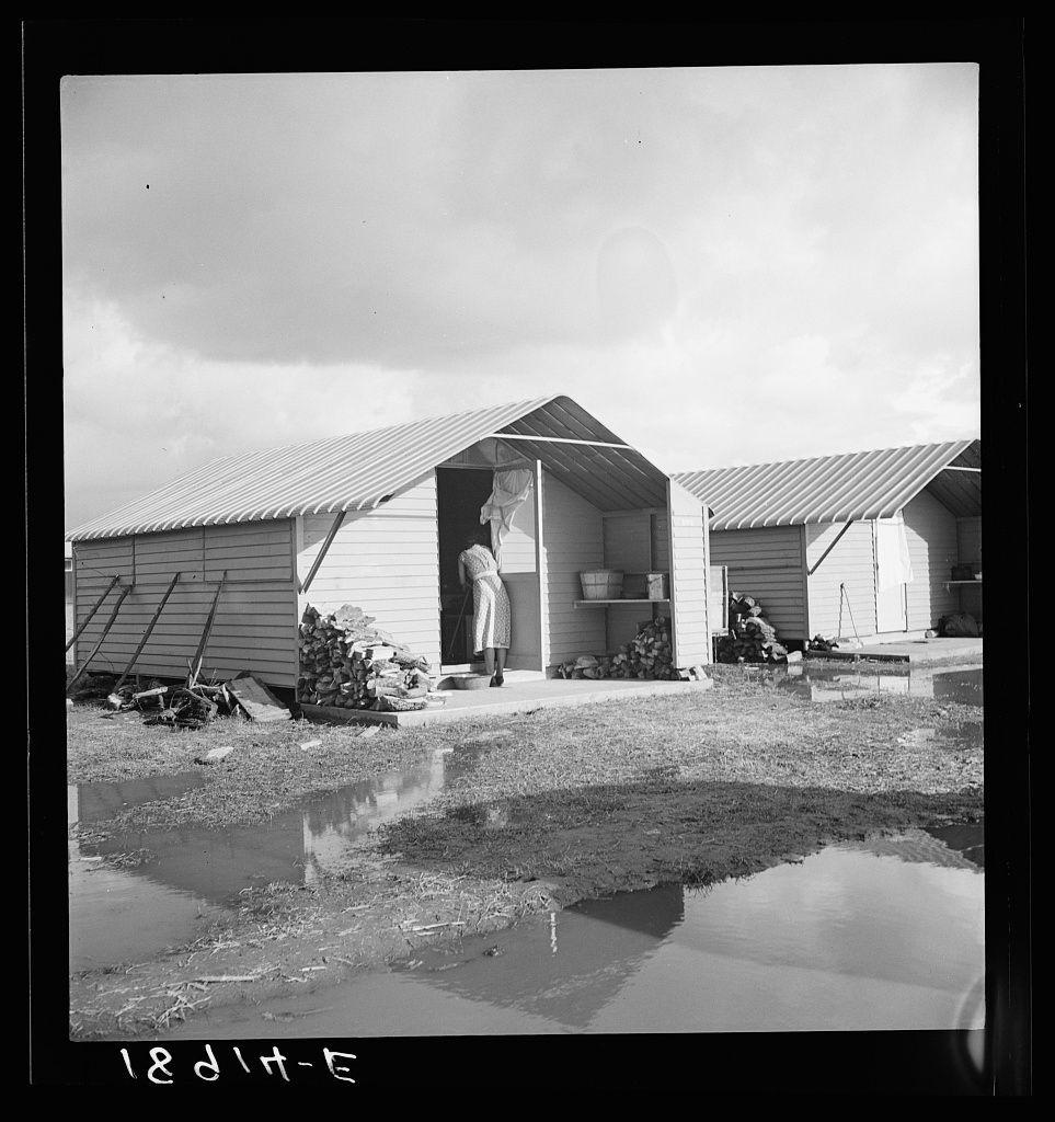 The image depicts an old black and white photograph featuring a prefabricated steel dwelling in what seems to be a temporary housing camp for migrants. The structure appears functional with simple corrugated metal roofing, wooden walls, and rudimentary construction. A woman is visible through the doorway of one such hut, adding human context to this scene.

The ground surrounding these dwellings shows evidence of recent rainfall or water runoff, as evidenced by puddles on the otherwise dry grassy area. Various items are scattered outside the huts, including stacks of wood for heating purposes and a few containers possibly used for storage or utility services like food distribution within the camp setting.

There is no visible branding, signage, or any indication that would suggest this image's exact date; however, it evokes mid-20th-century aesthetics commonly associated with documentary photography from that era. The overall atmosphere suggests hardship and temporary living conditions often faced by rural migrants during their travels to seek better agricultural opportunities across the United States.

This photograph is credited under "United States government camp for migrants (Farm Security Administration), Farmersville, California." This reference indicates it was part of a larger initiative aimed at documenting various aspects of life in America. It highlights how s [...]