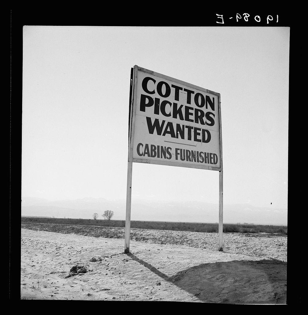 The image shows a black-and-white photograph of an outdoor signpost in what appears to be an arid landscape. The sign reads "Cotton Pickers Wanted" and below it, the words are smaller but legible: "Cabins Furnished." It is set against a flat horizon with sparse vegetation and barren land stretching out into the distance under overcast skies.

The ground around the base of the post looks dry and devoid of significant plant life or water sources. There's an uneven patch of earth on which small rocks are scattered, indicating some activity in that area before it was left behind. The environment appears stark and perhaps indicative of a rural farm setting with little habitation except for where cotton picking is done.

Additional information suggests this sign might be located along U.S. 99 main highway between Los Angeles and San Francisco within Kern County, California, during the period when such labor practices were common in agricultural regions. The historical context implies that it was a time of significant migration to these areas as part of seasonal farm work, specifically for cotton picking.

The image conveys an atmosphere reflective of economic hardship associated with rural America's agricultural workforce and their living conditions at the turn of the century or during the Great Depression era when such signs were prevalent.
