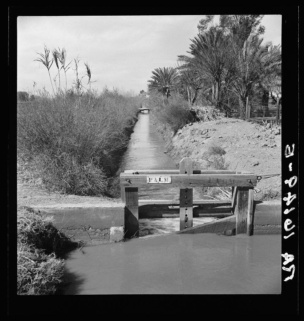 The image is a black and white photograph depicting an irrigation ditch alongside a road. The scene shows tall grasses on the left side, with palm trees in the background indicating a warm climate region, likely desert-like conditions given its proximity to California's Imperial Valley as mentioned in the caption.

In the middle of the frame stands a wooden barrier or gate labeled "PALM" which is partially submerged in water. The water appears muddy and still, suggesting that it may not be heavily flowing at this point. In the distance beyond the ditch, there seems to be another structure on a bridge over what could also be part of an irrigation system.

The photograph captures elements like reeds or grasses swaying slightly above ground level on the left side, adding verticality and texture against the more horizontal lines created by the ditch's edges. The overall atmosphere is quiet and somewhat still, with no visible movement except for a slight ripple in the water near the barrier gate.

Additional context provided suggests that this could be part of an irrigation system designed to distribute water across agricultural lands or natural reserves within Imperial Valley, California.