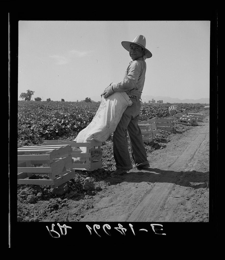 The image depicts a man in agricultural attire working on what appears to be a farm. He is wearing a wide-brimmed hat, typically used for protection against the sun during outdoor labor. The individual is holding a large sack or bag filled with produce and seems to be standing next to wooden crates that likely contain more of such goods. These crates are commonly utilized in farming operations for transporting fruits and vegetables.

The setting suggests an agricultural environment under bright daylight conditions, as indicated by the stark contrast between light and shadow on the ground and the clarity of objects. The surrounding field is vast with rows extending into the distance, indicative of a well-maintained farm or plantation dedicated to crop cultivation.

In the foreground, we see text overlaid at the bottom edge which appears to be signatures or markings possibly made by hand, perhaps as part of an artistic expression related to this photograph's context. These marks include what looks like letters and symbols that might have added significance in a narrative sense associated with the image content. The monochromatic color scheme suggests it is a black-and-white photo.

The reference provided indicates that this image can be linked to Dorothea Lange, known for her work as an American photographer renowned during the Great Depression era; specifically capturing i [...]