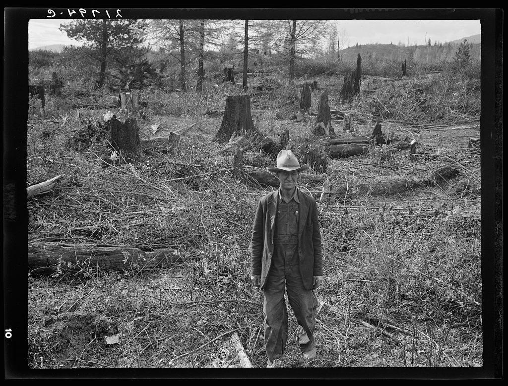 The image depicts a man standing in what appears to be the aftermath of deforestation. He is dressed in work attire, including overalls and boots, indicating he may have been involved in manual labor or forestry activities. The surrounding area shows numerous tree stumps, cut branches scattered on the ground, and barren soil with some sparse vegetation remaining. In the background, a line of trees can be seen at varying distances from the foreground, suggesting that this clearing might be located within a larger wooded region.

The photograph is in black and white, which adds to its vintage or historical feel. The man appears contemplative as he looks directly towards the camera while walking among the remnants of felled timber. His expression could convey thoughts such as reflection on his work, concern for environmental impacts, or perhaps determination amidst adversity.

Additional context provided by an external source indicates that this image might be related to a farmer from Nebraska who hopes to clear land in Bonner County, Idaho next year. This suggests the man may have been involved in agricultural activities and is possibly considering expanding into new lands as part of his farming operation. The specific mention of the photograph being associated with Ex-Nebraska farmland hints at a narrative involving transition or change for this individual's livelihood.

T [...]