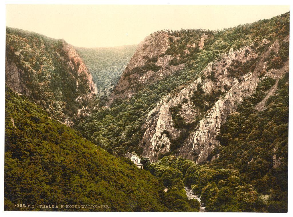 This image depicts a picturesque landscape with rugged cliffs and lush greenery, likely captured during the late 19th or early 20th century. The steep slopes of rocky hills are densely covered in vegetation, showcasing a variety of shades from deep greens to lighter hues possibly indicating different types of foliage. In the center, there is an opening that reveals more verdant terrain and hints at human habitation with what appears to be a small structure nestled among the trees. A faint trail or river meanders through this natural setting towards the base of the cliffs. The overall atmosphere suggests a remote location in Germany's Hartz region, as indicated by the caption which mentions "Waldkater Hotel Thale" and "Bodethal." This place is known for its dramatic landscapes and historical significance, often visited for both nature exploration and relaxation at hotels like Waldkater.