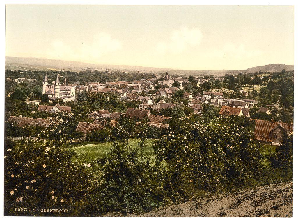 This image depicts a picturesque village nestled among rolling hills, showcasing an old-world charm with its collection of traditional European architecture. The photograph captures the scene from a high vantage point, offering a sweeping view that includes numerous buildings with dark roofs and stone or brick facades, indicative of historical construction techniques.

Prominent in the landscape are several churches distinguished by their tall spires and steeples reaching towards the sky, signifying religious importance within this community. The village is encircled by verdant trees and lush vegetation, suggesting a harmonious coexistence with nature. In the foreground, wildflowers add splashes of color to an otherwise earthy-toned scenery.

The photograph carries historical significance as it appears to be from Germany during roughly 1890-1900, reflecting architectural styles common in that era and region. The presence of German text at the bottom left corner ("GERNERODE") further supports this timeframe and location.

Overall, the image captures a serene moment frozen in time within an idyllic rural setting, providing visual insight into Germany's cultural heritage during its late 19th-century period.