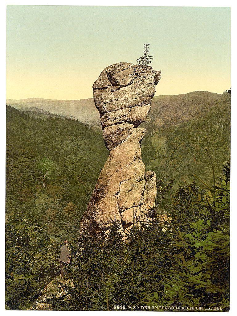 The image depicts a striking natural rock formation known as Entenschnabel, located in Ilfeld, Hartz Mountains of Germany. The rocky structure stands prominently among lush greenery with hills and trees creating the backdrop. Atop this unique geological feature is a small tree or shrub clinging to its peak. In the foreground, there's an individual standing on one side, giving scale to the massive rock formation beside which they appear quite diminutive. This vintage photograph has been reproduced in color for modern viewers, adding warmth and vibrancy to the scene that hints at early 20th-century aesthetic tastes. The image is marked with a caption indicating its location "DER ENTENSOHNABEL BEI IELFELD" along with an identification number "(6448).PZ", suggesting it may be part of a larger collection or cataloged series related to German scenery during that era.