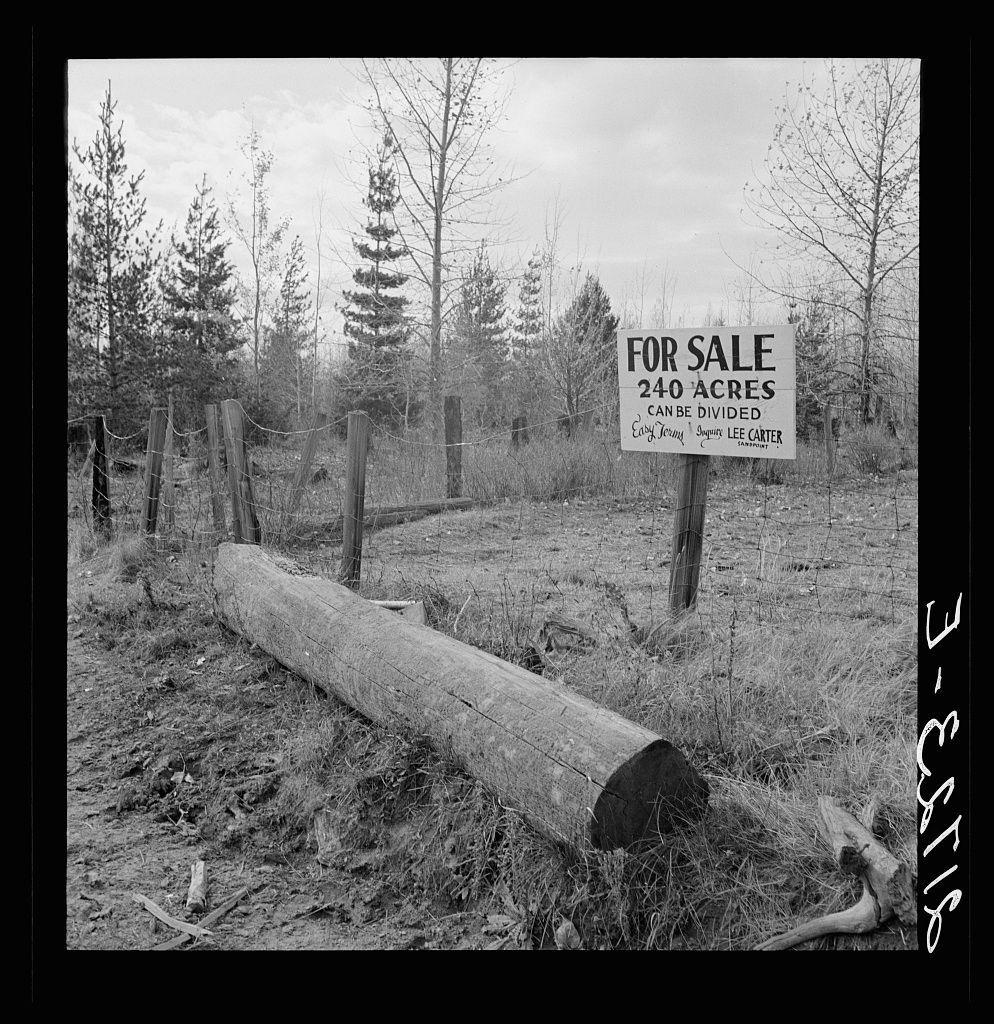 The image depicts a rural scene with sparse vegetation, featuring trees that appear to be in early stages of growth or are possibly coniferous species. In the foreground lies an old tree trunk lying on its side at ground level and extending upwards from it is a split log which stands as if fallen naturally but may also have been cut. Behind this prominent feature is a wooden fence post with attached barbed wire, indicating delineation of property boundaries.

In front of these elements is positioned a large signboard standing upright in the soil; its text announces "FOR SALE" and specifies details about an acreage that can be divided for buyers interested: "240 ACRES", stating further conditions like "CAN BE DIVIDED". Atop this information, it reads "Easy Terms | Secure | Lee Carter Estate". The sign's presence is indicative of real estate marketing.

The photograph captures the environment in black and white, lending a timeless quality to what seems likely intended for modern audience. There are no human figures or moving objects visible which provides an undisturbed view focusing solely on land properties available for sale.
