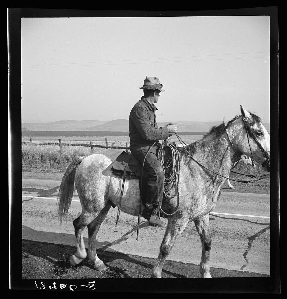 The image depicts a man riding on horseback down what appears to be an asphalt road. He is dressed in traditional cowboy attire, including a long-sleeved shirt, chaps, and boots, with additional gear such as a saddle, stirrups, and reins visible. The setting seems rural or semi-rural, given the presence of dry grasses on either side of the road and mountains faintly visible in the distance under an open sky. The photograph is monochromatic, suggesting it may be quite old.