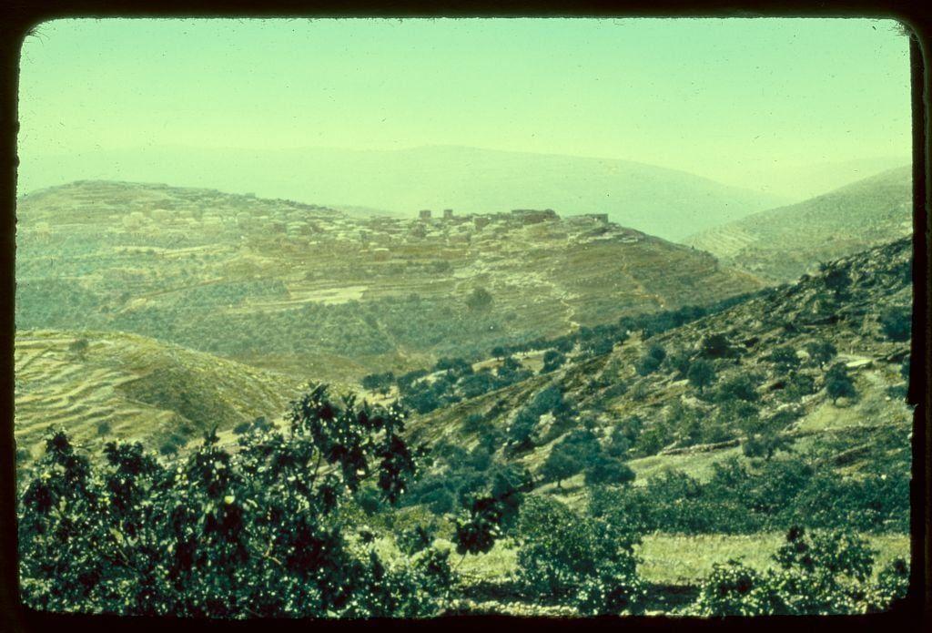 The image depicts a scenic landscape of rolling hills and valleys, characterized by terraced agriculture fields that appear in varying shades of brown and green. The foreground is adorned with lush vegetation including trees and shrubs with dark green foliage. These plants have dense canopies suggesting they are well-watered or protected from strong winds.

A small settlement with multiple buildings is perched atop a hillside, nestled within the terrain's undulating landscape. This indicates human habitation in harmony with nature. The overall color palette of the photograph consists mainly of earth tones, under what appears to be a hazy sky giving off an almost sepia-toned ambiance.

There are no visible people or moving objects that can be discerned from this still image, which lends it a timeless quality. This particular view seems to capture tranquility and simplicity in rural life amidst natural beauty. The lighting suggests either early morning or late afternoon due to the softness of light and long shadows cast across the hillsides.

This photograph is credited as part of Matson Photo Service's collection from 1950-1977, known for their documentation work particularly associated with Northward from Jerusalem in Ephraim region. The location details suggest a historical context related to biblical narratives or geographical exploration during that period.