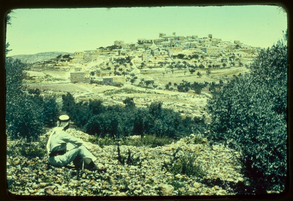 The image is a vintage photograph, likely from the mid-to-late 20th century based on its coloration and quality. It depicts an expansive view of a rural landscape with a cluster of buildings perched atop a hillside in what appears to be arid or semi-arid terrain.
In the foreground, there's an individual seated amidst rocky ground scattered with shrubs and small plants. The person is dressed casually, wearing light-colored clothing that contrasts against the earthy tones surrounding them. They are sitting facing away from the camera, looking towards a densely built village in the distance.
The architecture of the buildings suggests this could be a Middle Eastern or Mediterranean rural setting. There's evidence of terraced farming on parts of the hillside and an absence of modern infrastructure like roads visible near the settlement area. The surrounding landscape is dotted with greenery that hints at agriculture, yet it also shows signs of aridity.
The photograph has aged well but appears slightly yellowed due to its age or storage conditions. It's framed by a light-colored border which could indicate that it was scanned from an original slide or printed image.