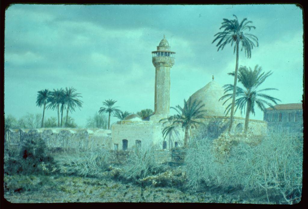 The image depicts a serene landscape featuring an Islamic mosque with distinctive architectural elements. A tall minaret, characterized by its slender tower and arched top gallery for the muezzin to call the faithful to prayer, stands prominently against a backdrop of palm trees under a partly cloudy sky. The main building has a large dome topped with a crescent moon finial, which is symbolic in Islamic architecture representing the heavens or paradise. Surrounding the mosque are remnants of old structures and vegetation that appear dry and sparse, suggesting an arid climate typical of many regions where such mosques might be found.

The color tone of the photo leans towards blueish-green hues, possibly due to age or film processing techniques used during its time. The photograph carries a historical feel, as indicated by the visible creases on the slide's edge, which hints at it being part of an older collection or archive. Additional context is provided in "Northward from Jerusalem," where Jenin and this mosque are likely discussed alongside other locations visited between 1950-1977.

This image appears to be sourced from Matson Photo Service, a known provider of historical photographs capturing diverse subjects across various parts of the world during that era. The photograph is listed with dimensions of approximately 2 x 2 inches and holds significance for its represe [...]