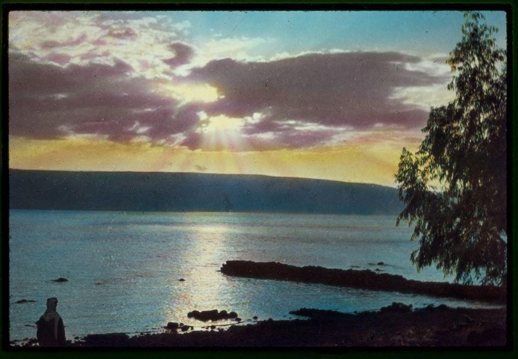 The image depicts a serene sunrise over the Sea of Galilee, with rays of sunlight breaking through clouds and reflecting off the calm water. A lone figure stands on the rocky shoreline, silhouetted against the bright sky. The color palette ranges from deep blues and purples in the foreground to warm golds and oranges near the horizon where the sun is rising above a distant landmass or hillside. On the right side of the image, there's a tree with sparse foliage partially obscuring another view of the sunrise behind it.