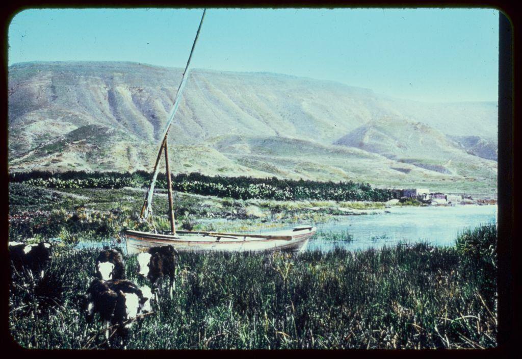 The image shows a pastoral landscape with a focus on the foreground, middle ground, and background. In the foreground, there is lush green vegetation where several black and white cows are grazing or standing still. Behind them, centered in the composition, stands an old-fashioned sailboat without sails attached to its wooden mast. The boat appears aged, showing signs of weathering with a light brown hue.

The middle ground features a body of water that reflects some sunlight on its surface, suggesting it could be shallow and clear or possibly slightly reflective due to gentle ripples. On the far side of this body of water is an area densely populated with various green plants, bushes, shrubs, and small trees in different shades of green.

The background prominently displays a hilly terrain characterized by eroded soil layers revealing sedimentary rock formations indicative of geological activity over time. The hillside gradients vary from light to dark brownish-green tones, indicating changes in elevation or the presence of various minerals within the earth's crust.

Above this landscape is a clear sky with very little cloud cover, suggesting it might be a sunny day as evidenced by shadows and bright lighting on the ground features. Overall, the scene captures a tranquil rural setting possibly located near a lake or river where agriculture and boating are part of daily l [...]