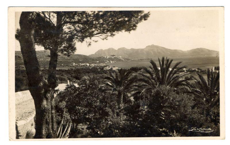 The image depicts a vintage black and white photograph showing a coastal landscape with lush greenery in the foreground. Prominent are several palm trees, varying in size but all exhibiting characteristic fronds that fan out from their crowns. These tropical plants suggest a warm climate typical of Mediterranean regions.

In the midground lies an area densely populated with diverse vegetation including shrubs and possibly larger bushes or young trees scattered among older palms, creating layered textures within this part of the image.

The background reveals a view across rolling hills to what appears as mountainous terrain. These mountains are somewhat indistinct due to atmospheric perspective but suggest considerable distance from the foreground subjects. The highest peaks in the far-off horizon stand out against the sky.

Beyond these natural features, human habitation is visible with buildings clustered along the coast's edge and extending into the middle ground, likely indicating a town or city situated near this water body. These structures have flat roofs characteristic of Mediterranean architecture often found on coastal towns to manage heavy rainfall.

A significant feature in the image includes text at its lower right corner that reads "Zanderkraut," possibly signifying either an artist's signature or perhaps another form of notation related to the photograph it [...]